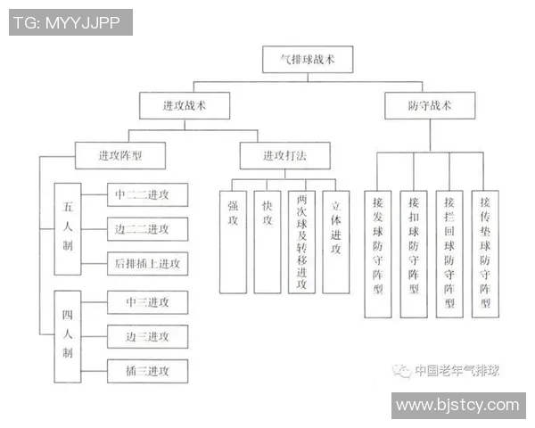 南京排球队的战术变革与球员转型深度解析
