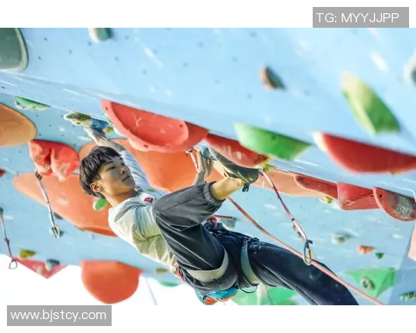 北京攀岩队技术表现深度数据分析与训练效果评估研究