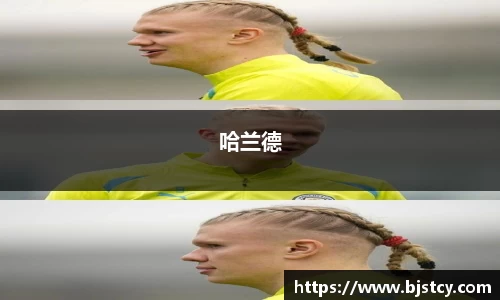 哈兰德